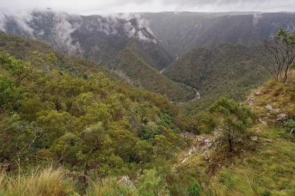 Wollomombi Falls (55)